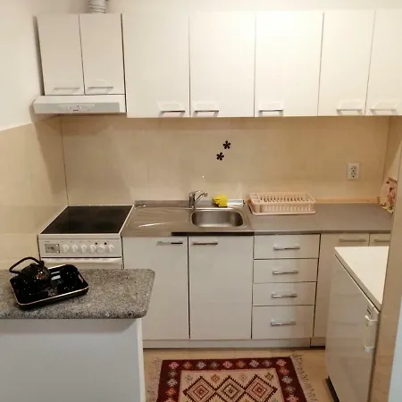 Апартаменты Apartman Razic Тузла
